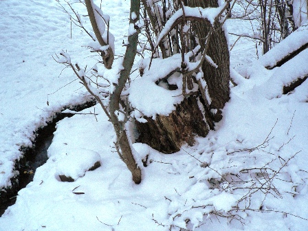 místo zločinu.JPG